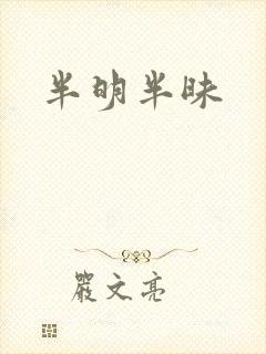 半明半昧