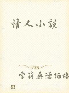 情人小说