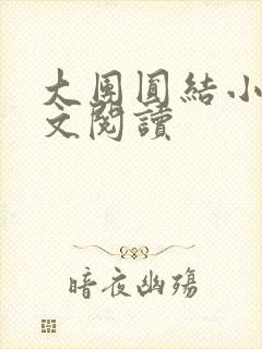 大团圆结小茹全文阅读