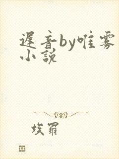 迟音by唯雾的小说