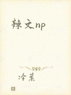 辣文np