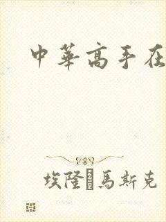 中华高手在异世