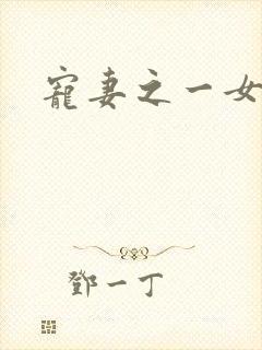 宠妻之一女二夫