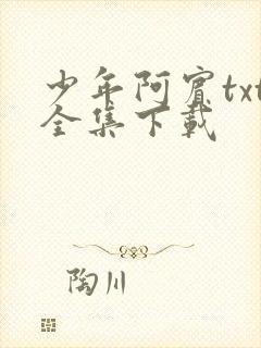 少年阿宾txt全集下载