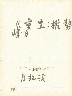 《重生:权势巅峰》