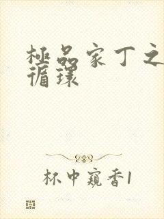 极品家丁之因果循环