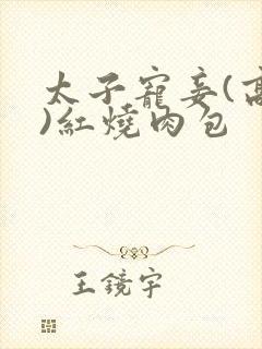 太子宠妾(高肉)红烧肉包