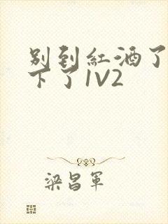 别到红酒了装不下了1V2