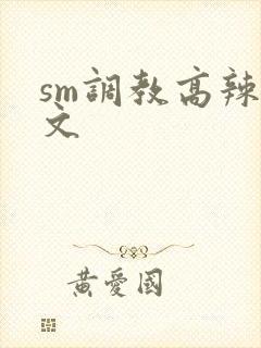 sm调教高辣h文
