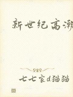 新世纪高潮战队