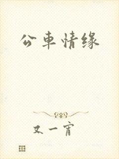 公车情缘