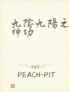 九阴九阳之阴阳神功