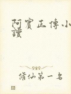 阿宾正传小说在读