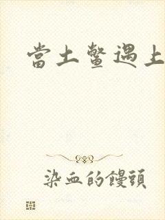 当土鳖遇上海龟