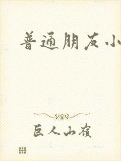 普通朋友小说