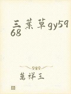三叶草gy5968