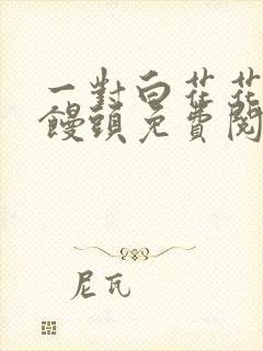 一对白花花的大馒头免费阅读