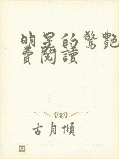 明星的惊艳史免费阅读