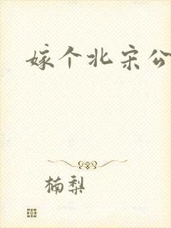 嫁个北宋公务员