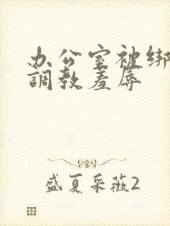 办公室被绑奶头调教羞辱