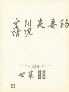 才川夫妻的恋爱情况