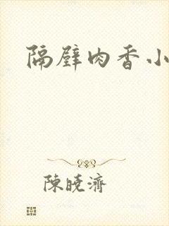 隔壁肉香小说