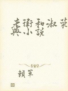 老卫和淑荣的经典小说