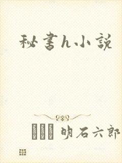 秘书h小说