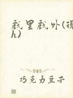 戏里戏外(现场h)