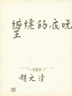 缠绕的夜晚双男主