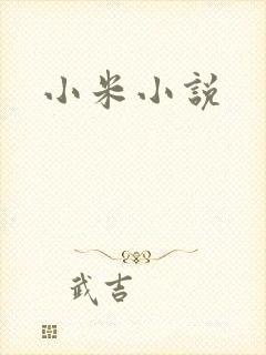 小米小说