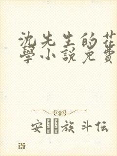 沈先生的花式教学小说免费