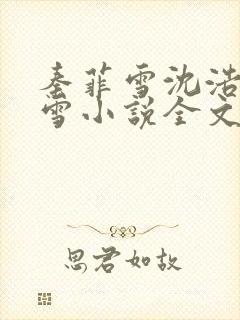 秦菲雪沈浩秦菲雪小说全文免费阅读求书
