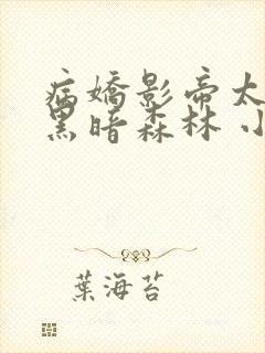 病娇影帝太撩人黑暗森林 小说全文免费阅读