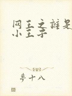 网王之谁是我的小王子