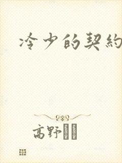 冷少的契约囚奴