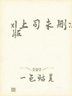 xl上司未删减版