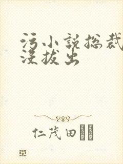 污小说总裁整夜没拔出