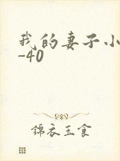我的妻子小谨1-40
