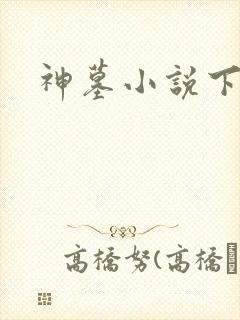 神墓小说下载