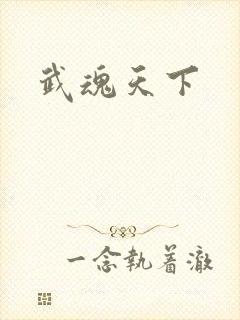武魂天下