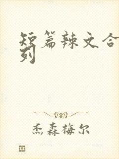 短篇辣文合集系列