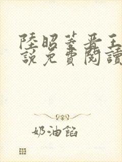 陆昭菱晋王的小说免费阅读