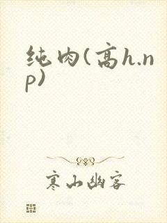 纯肉(高h.np)