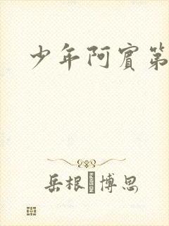 少年阿宾第二部