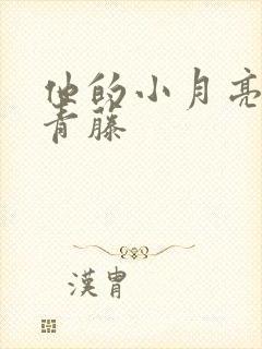 他的小月亮by青藤