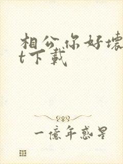 相公你好坏txt下载