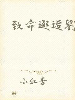 致命邂逅刘小寐