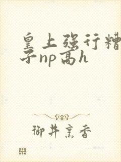 皇上强行糟蹋太子np高h