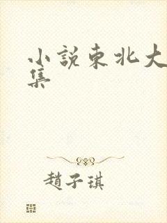 小说东北大炕全集